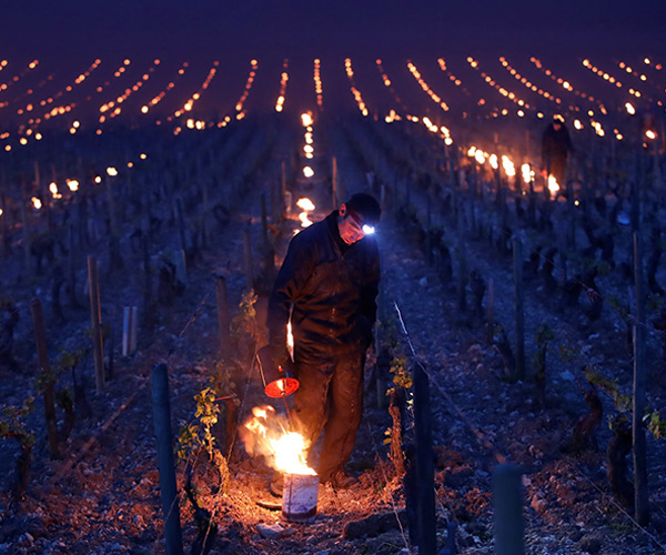 Against frost candles