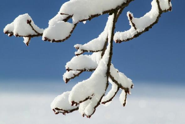 against spring frost candles, against spring frost candles wholesaler